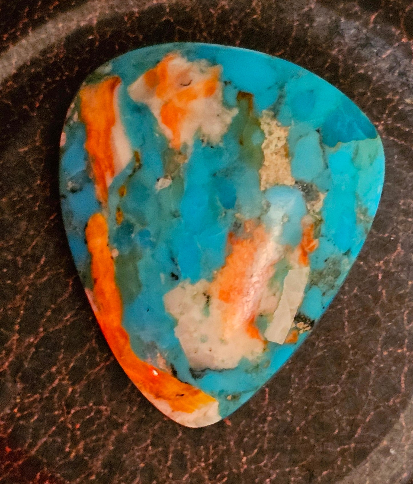 Rare Spiny Oyster Cabochon (Large)