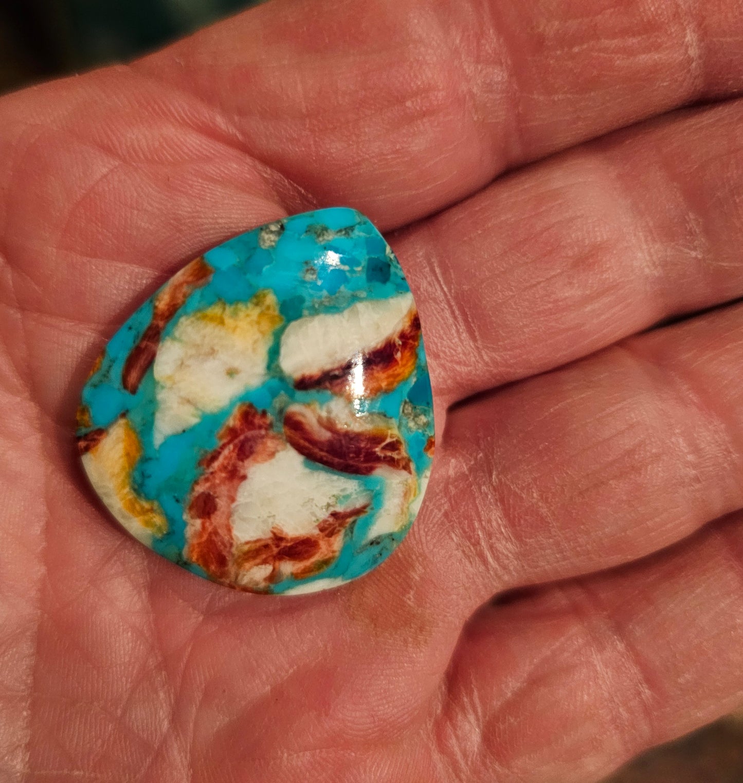 Rare Spiny Oyster Cabochon (Large)