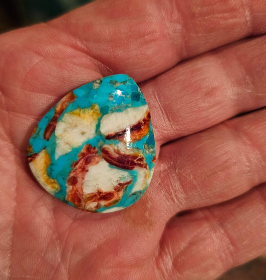 Rare Spiny Oyster Cabochon (Large)