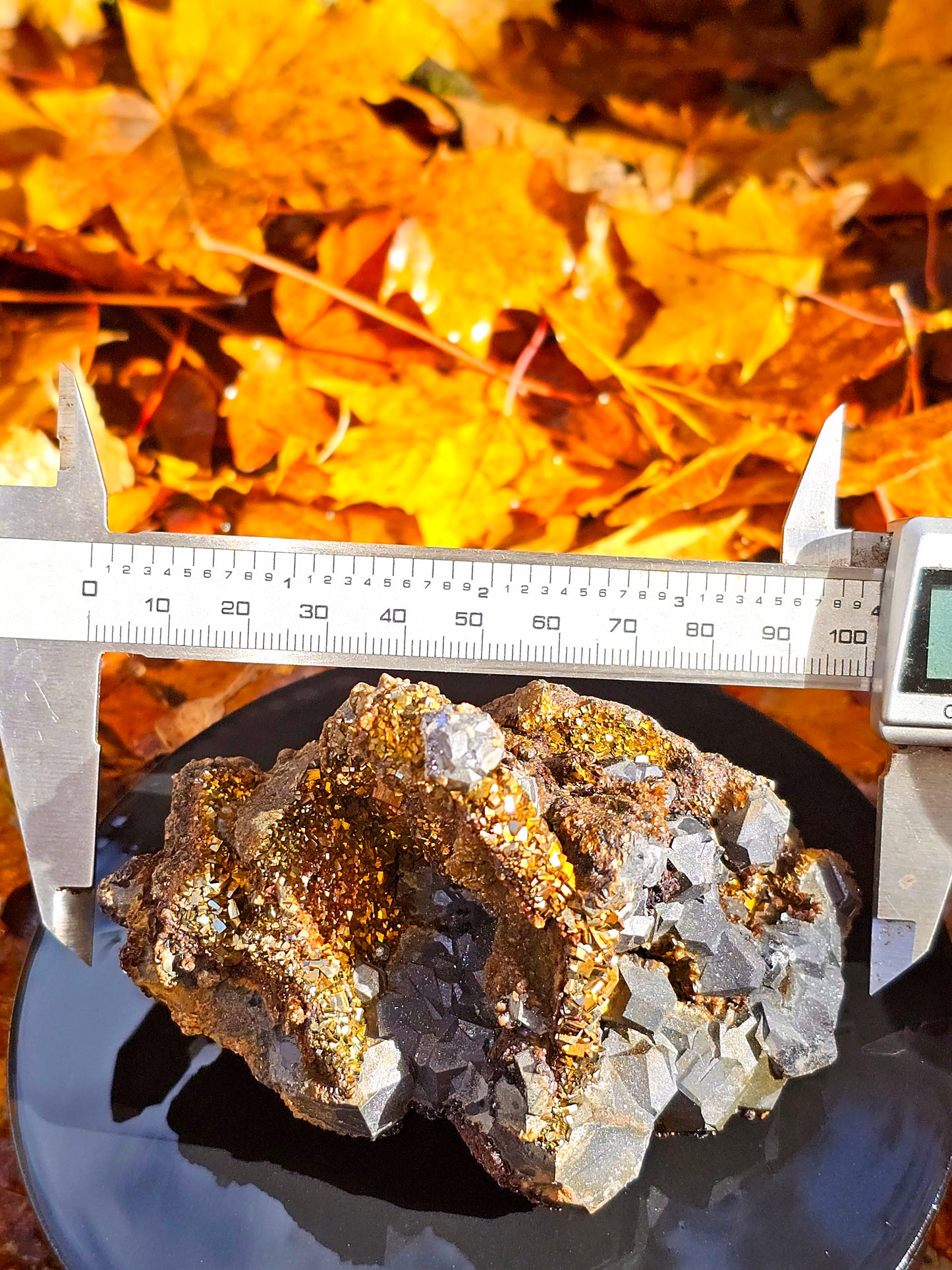 Amazing Pyrite on Octahedral Druzzy Galena(Rare & Unique)