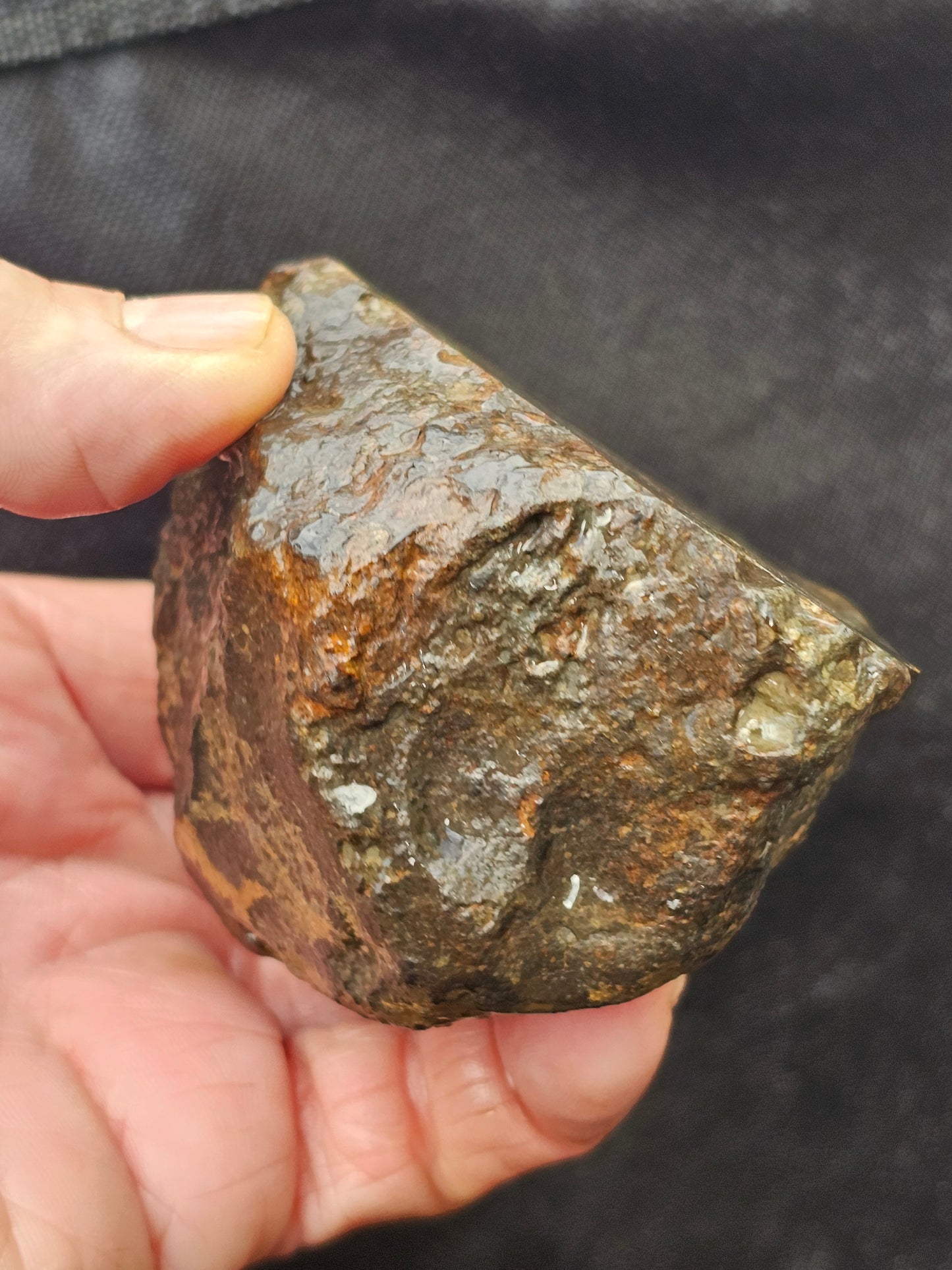 NWA - 869 Meteorite L3-6