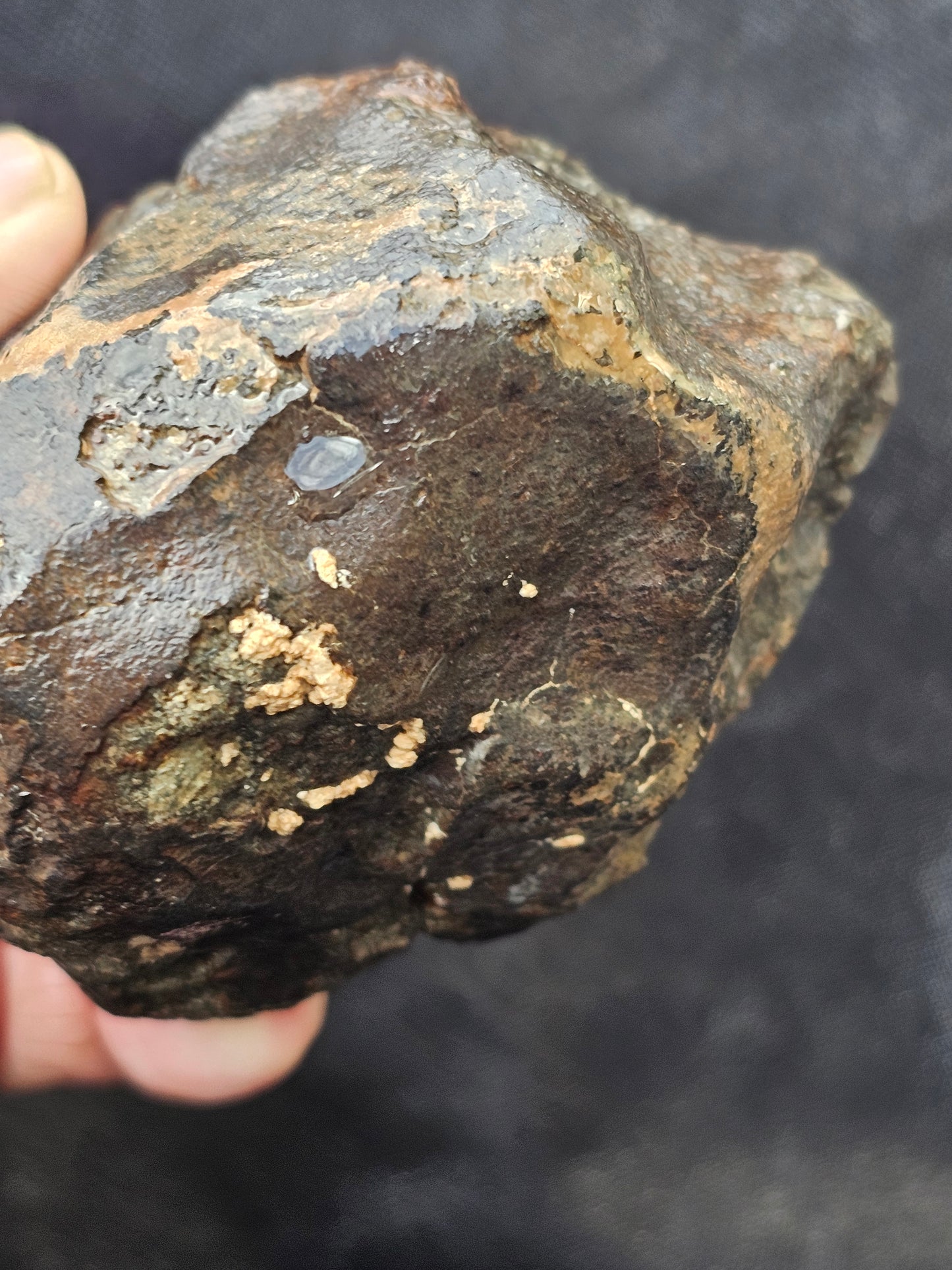 NWA - 869 Meteorite L3-6