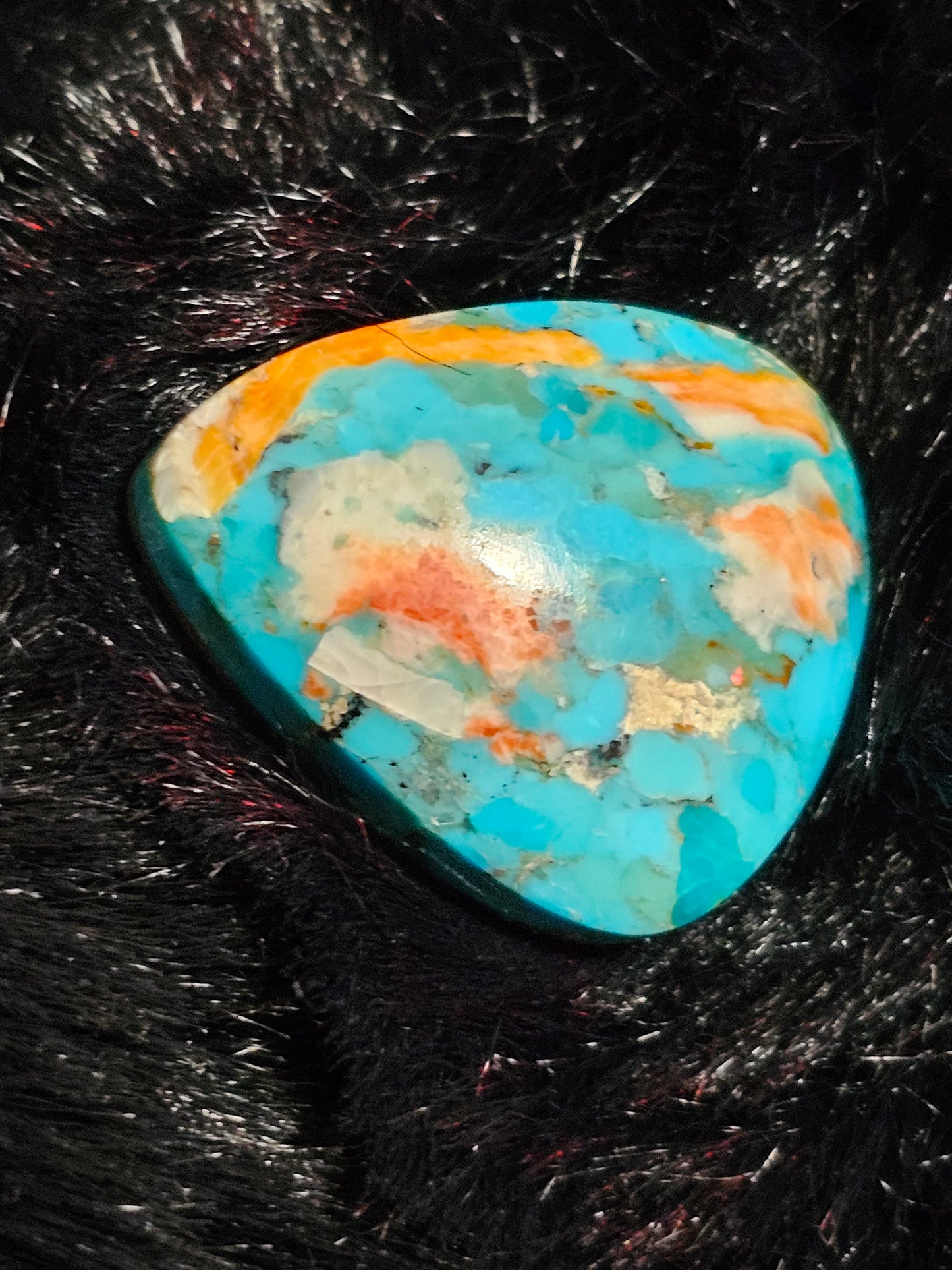 Rare Spiny Oyster Cabochon (Large)