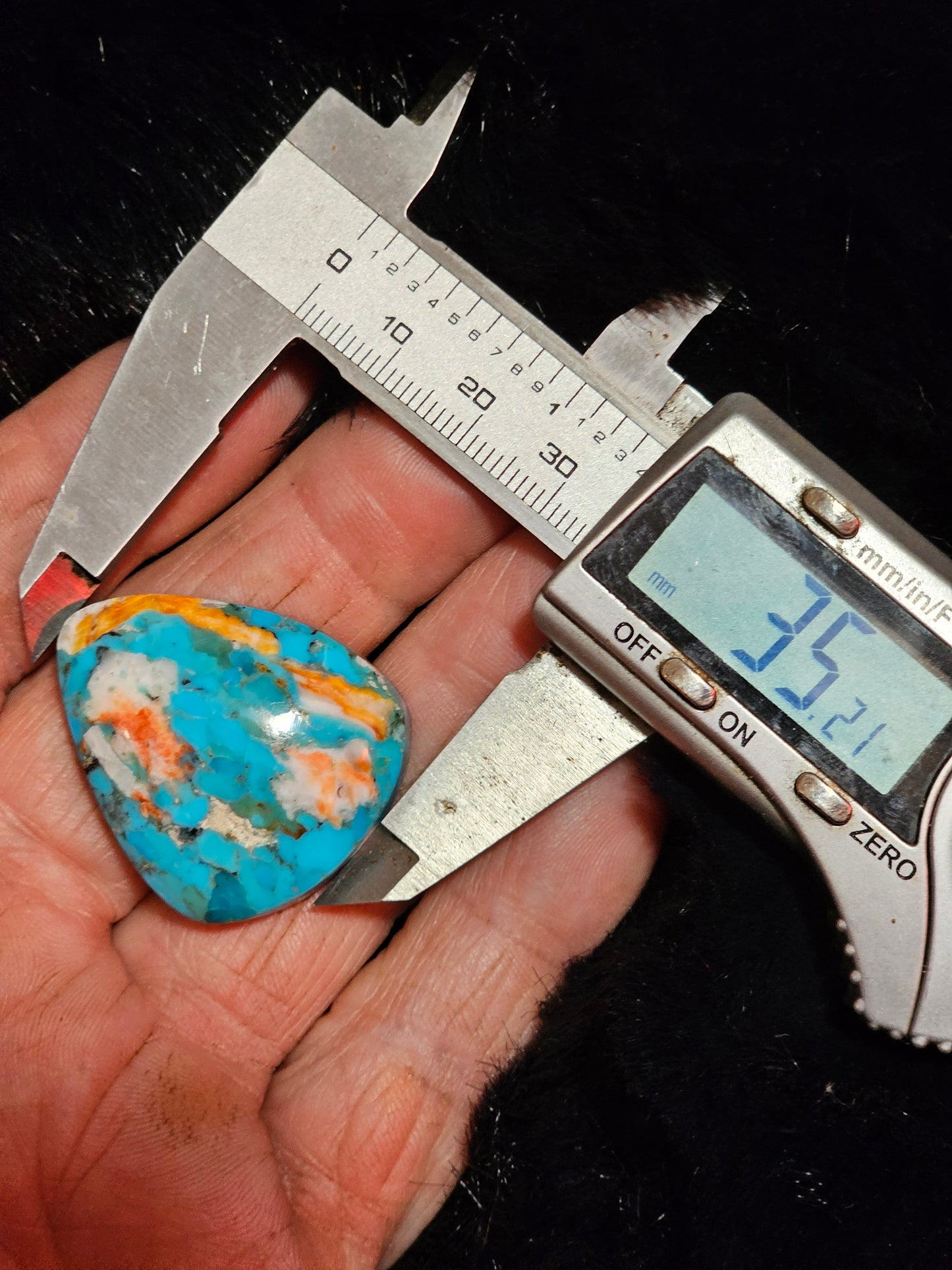 Rare Spiny Oyster Cabochon (Large)