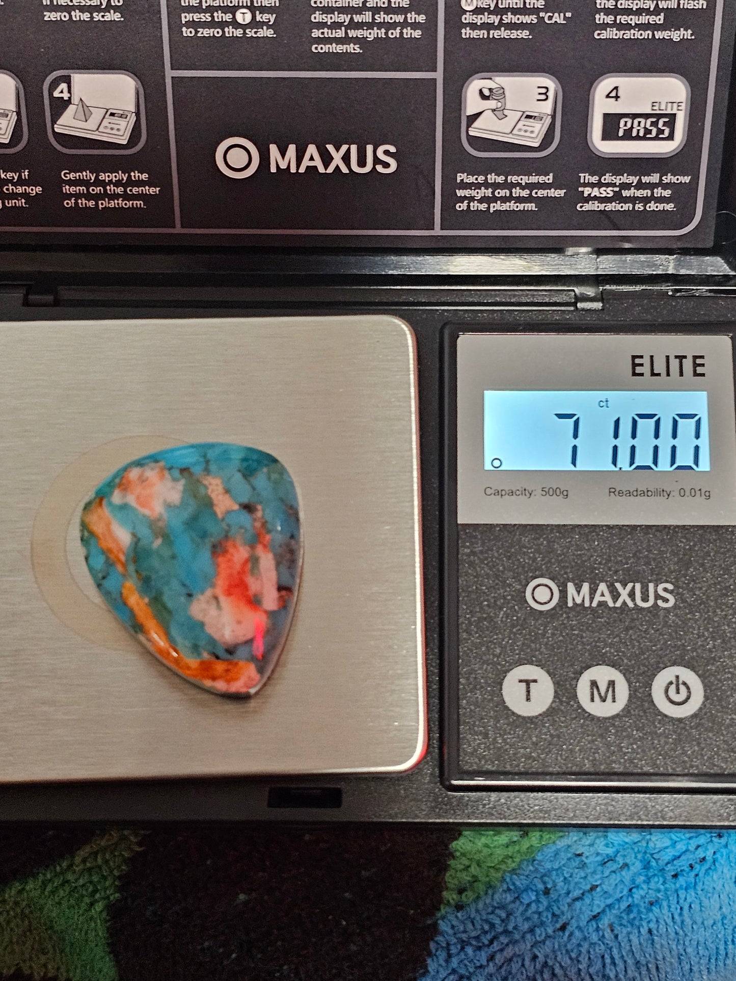 Rare Spiny Oyster Cabochon (Large)