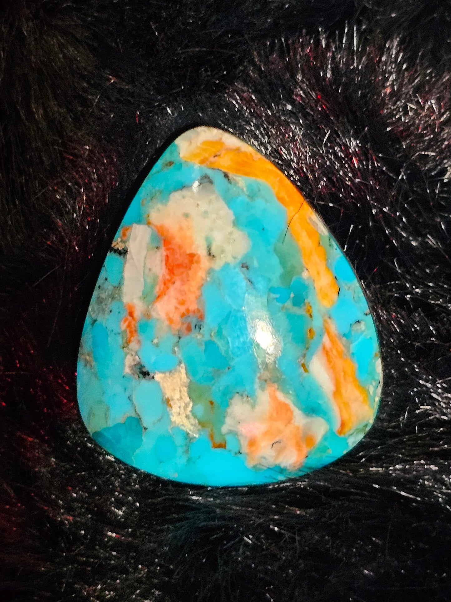 Rare Spiny Oyster Cabochon (Large)